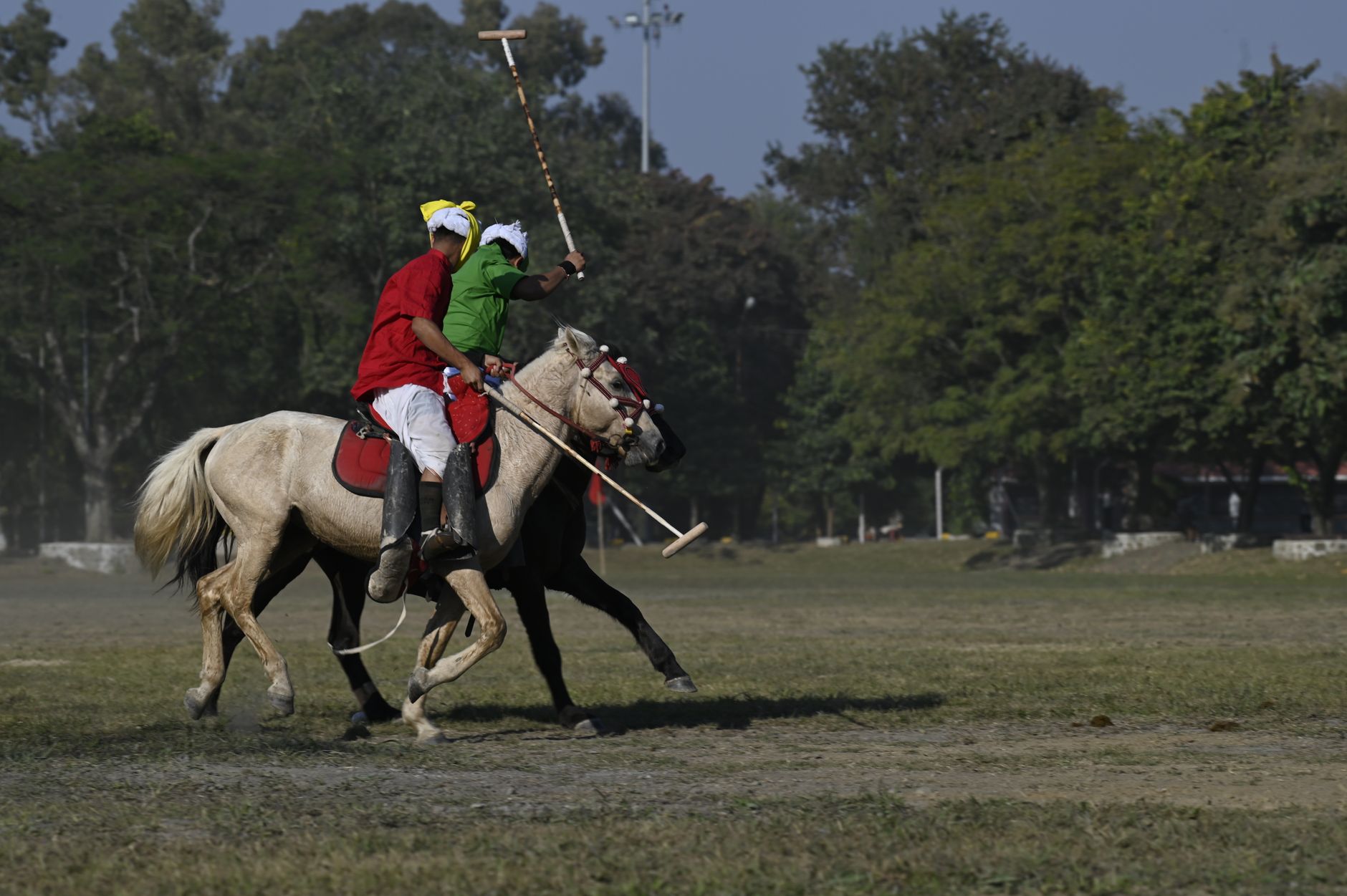 Close-up of a polo pony's bandaged lower legs before a match