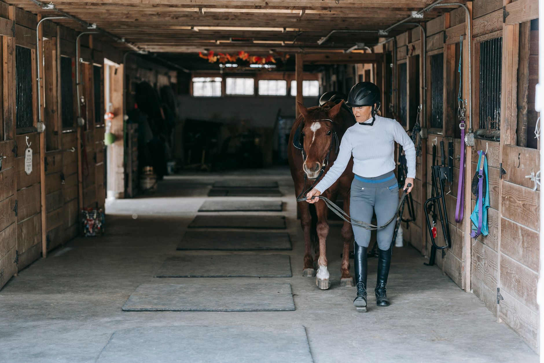 Close-up of equestrian bandage wraps in earthy tones laid out in a stable setting