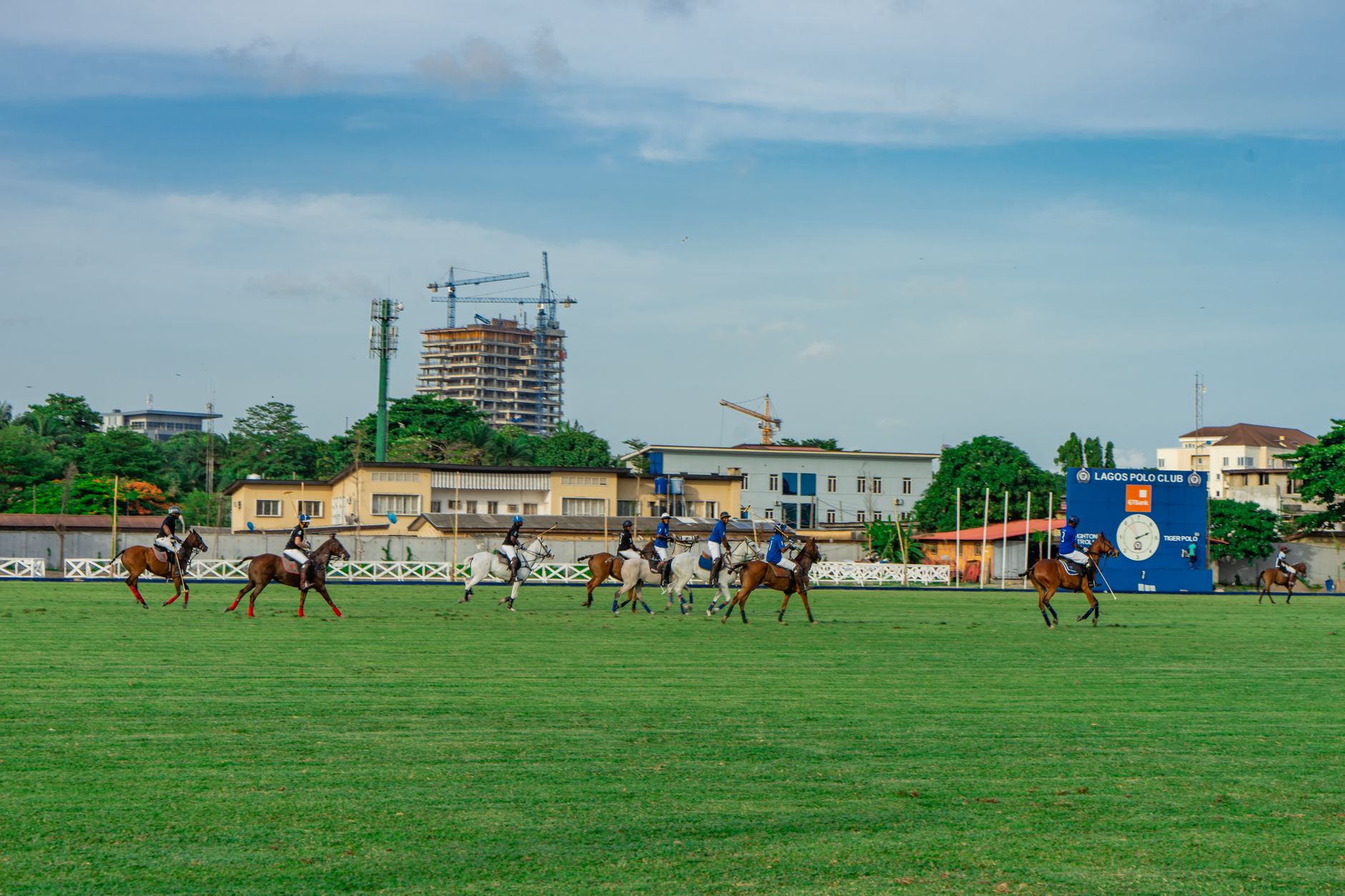 Polo players on a grass field wearing numbered bibs during a match