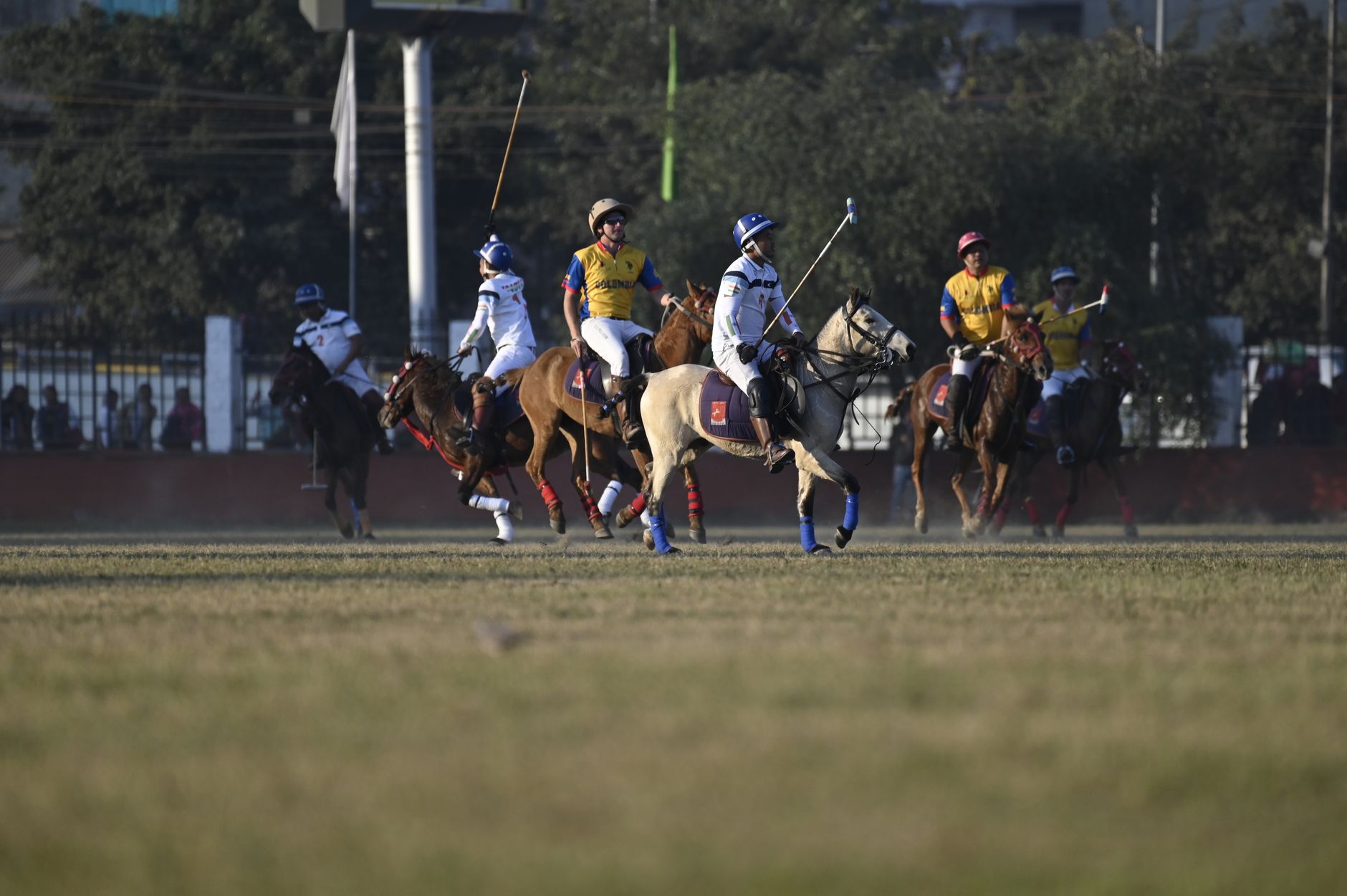 Polo player on horseback showing equestrian tack and leather equipment
