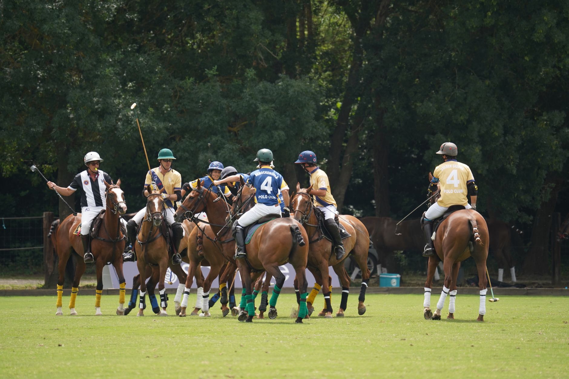 Polo players on field wearing white breeches and protective knee padding