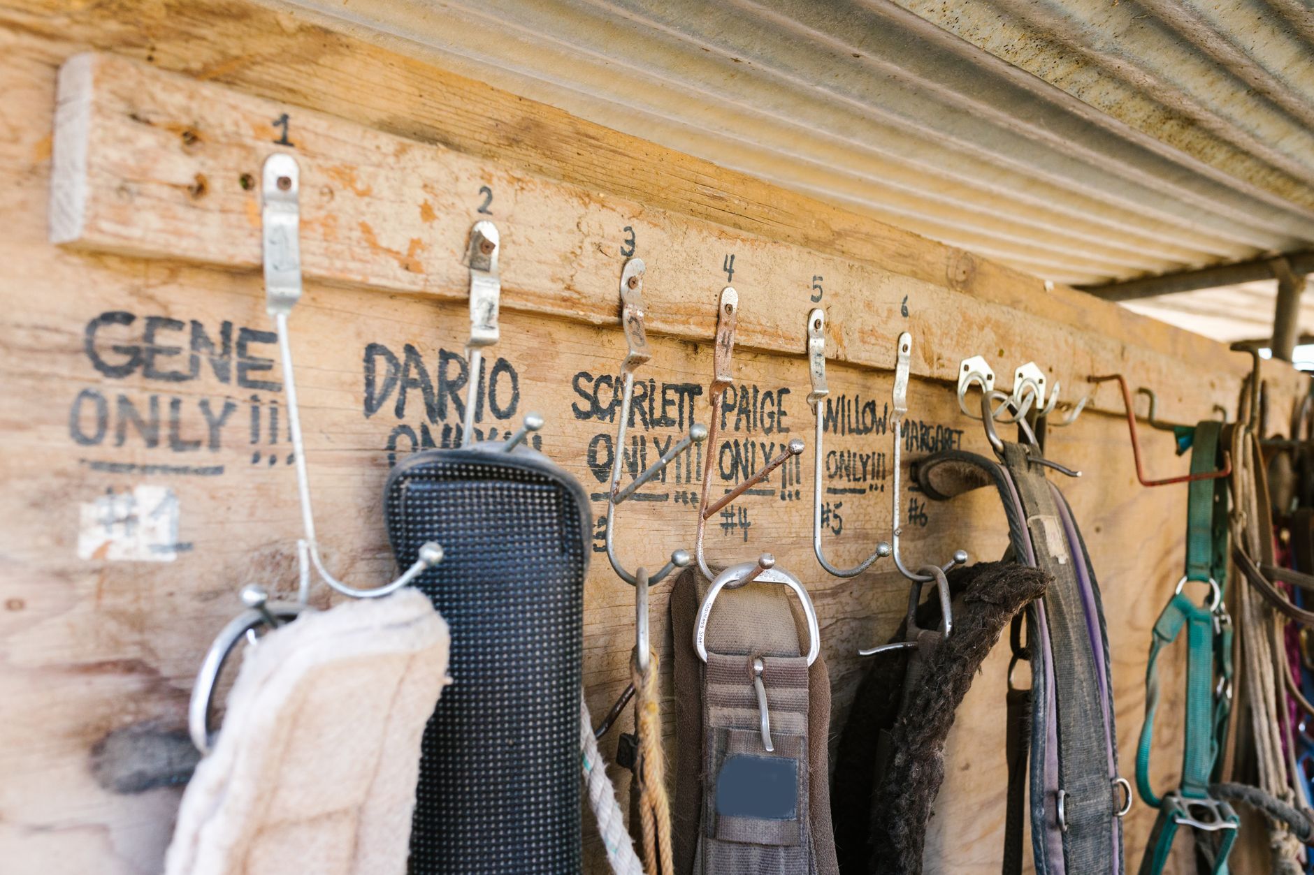 Detail shot of worn leather equestrian gloves showing natural patina and texture
