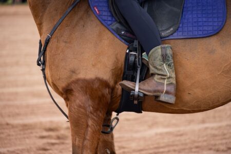 Close-up of a polo horse breastplate yoke showing the arched leather construction
