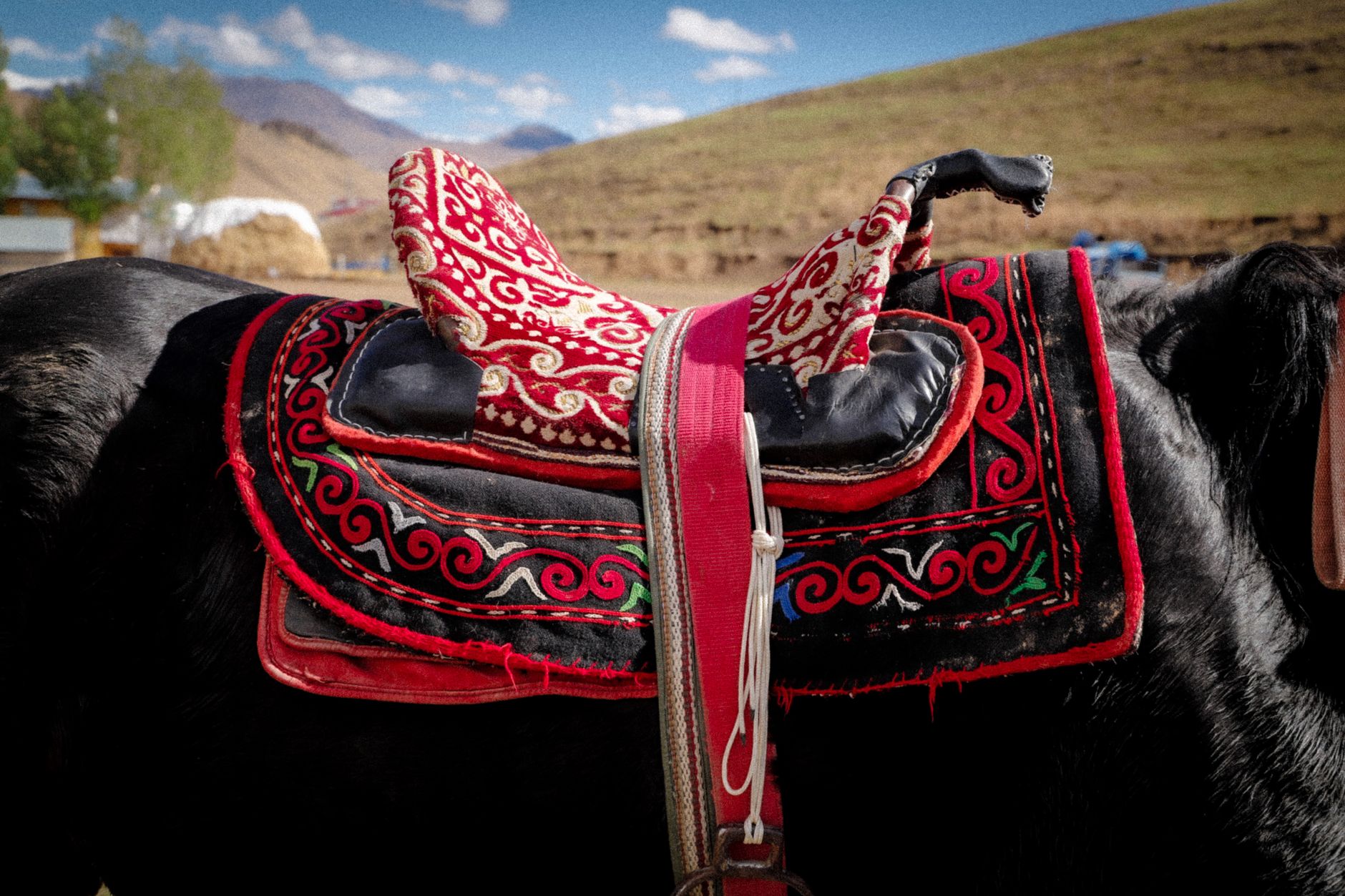 Close-up of a polo saddle showing metal hardware and structured arch at the pommel